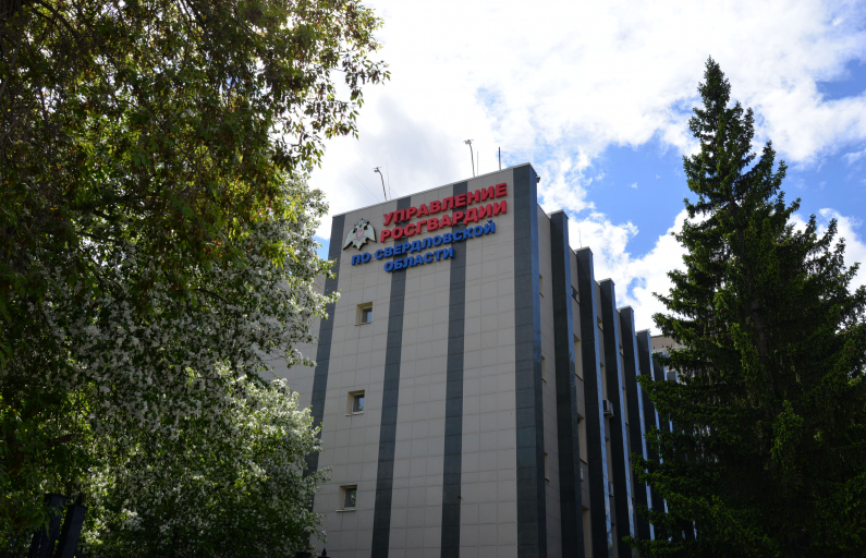 Фото предоставлено автором